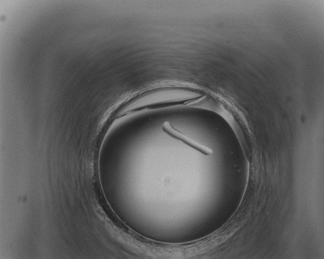 X0000086320015200704091124