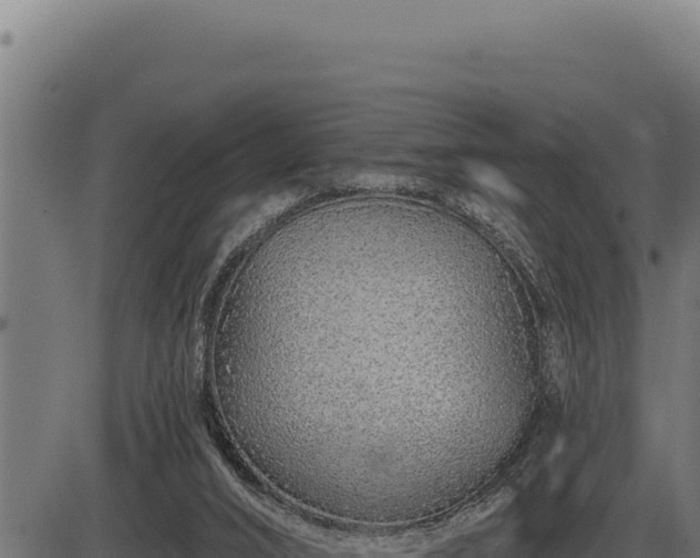 X0000086320016200704091124