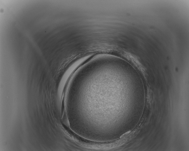 X0000086320017200704091124