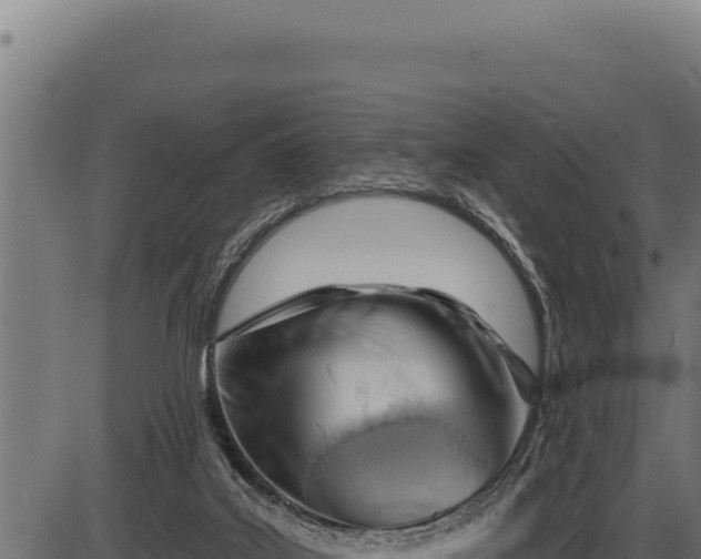 X0000086320019200704091124