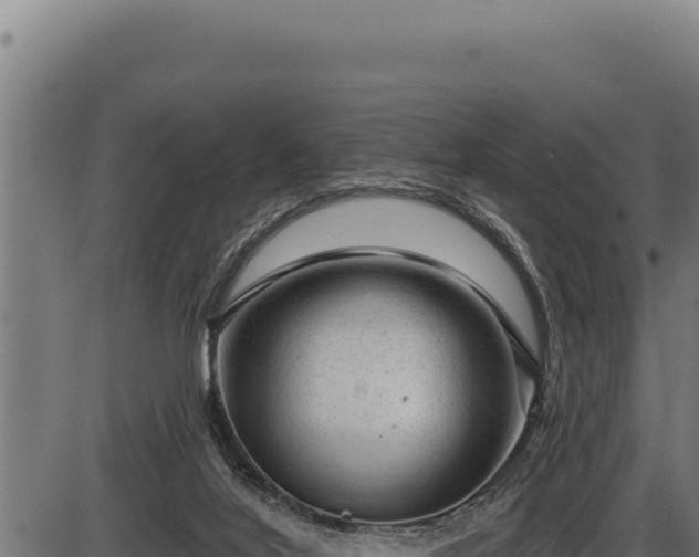 X0000086320020200704091124