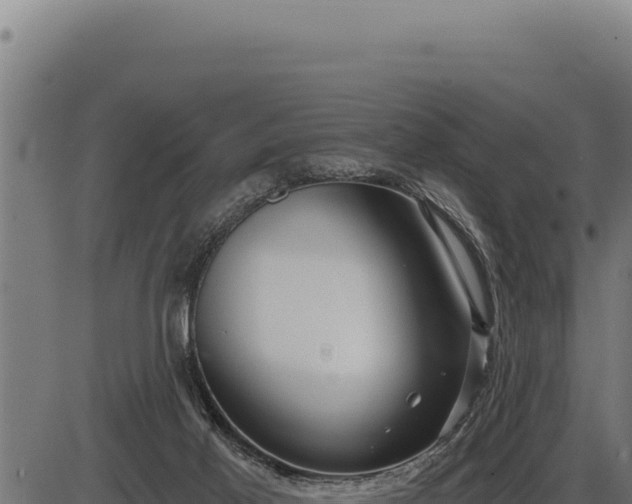 X0000086320021200704091124