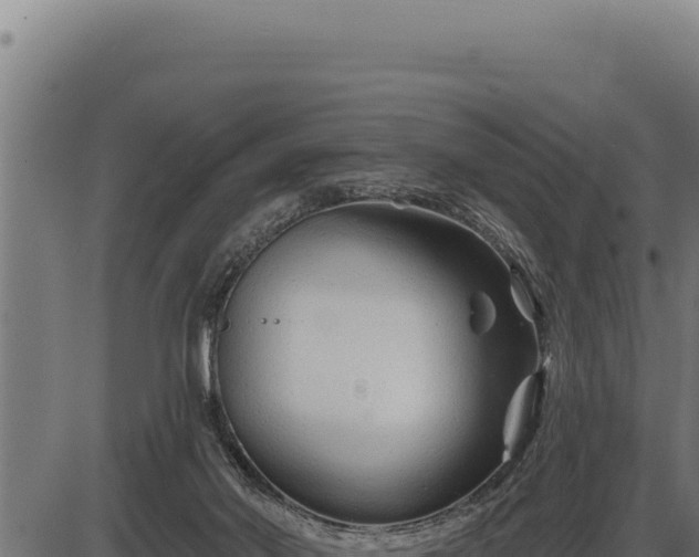 X0000086320022200704091124