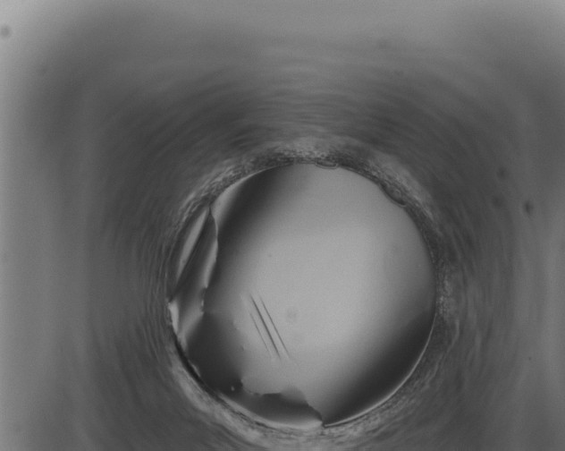 X0000086320023200704091124