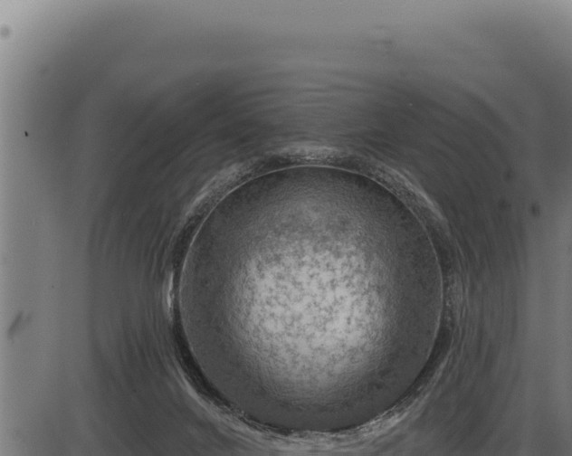 X0000086320024200704091124