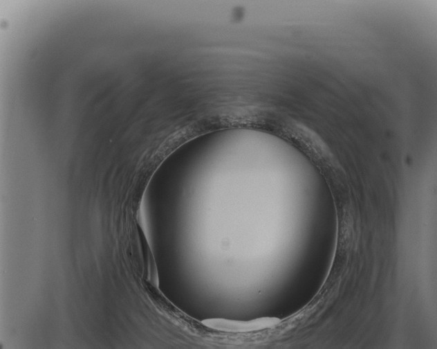 X0000086320025200704091124