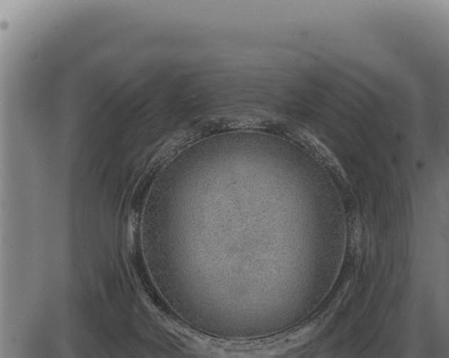 X0000086320026200704091124