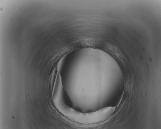 X0000086320027200704091124