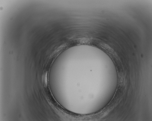 X0000086320028200704091124