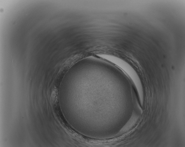 X0000086320029200704091124