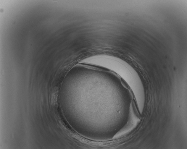 X0000086320030200704091124