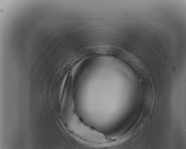 X0000086320031200704091124