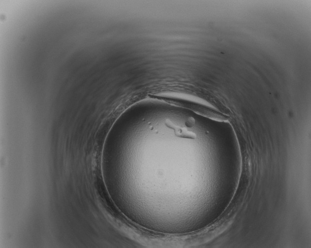 X0000086320032200704091124