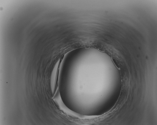 X0000086320033200704091124