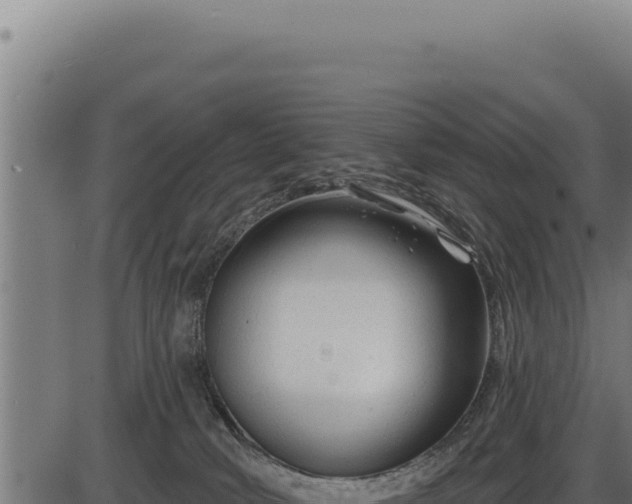 X0000086320034200704091124