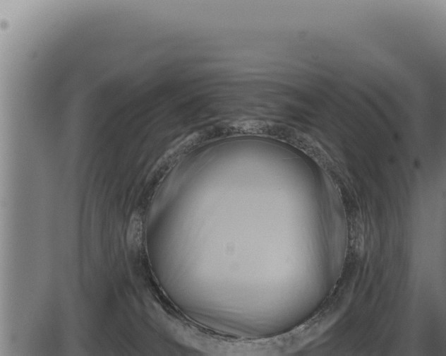 X0000086320036200704091124