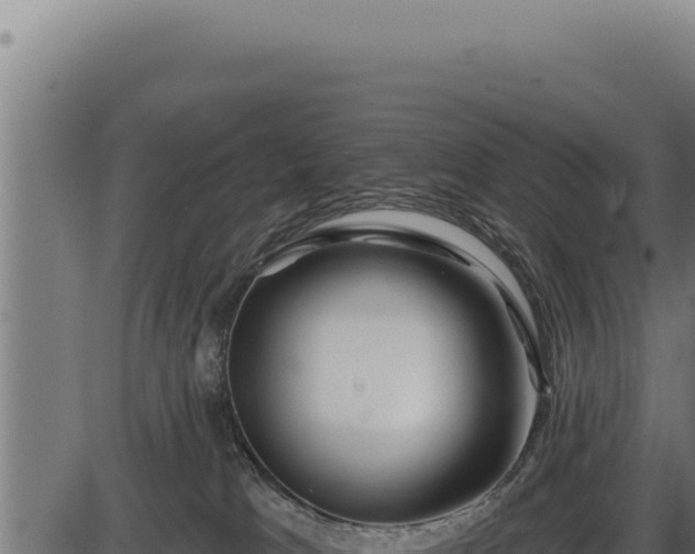 X0000086320037200704091124