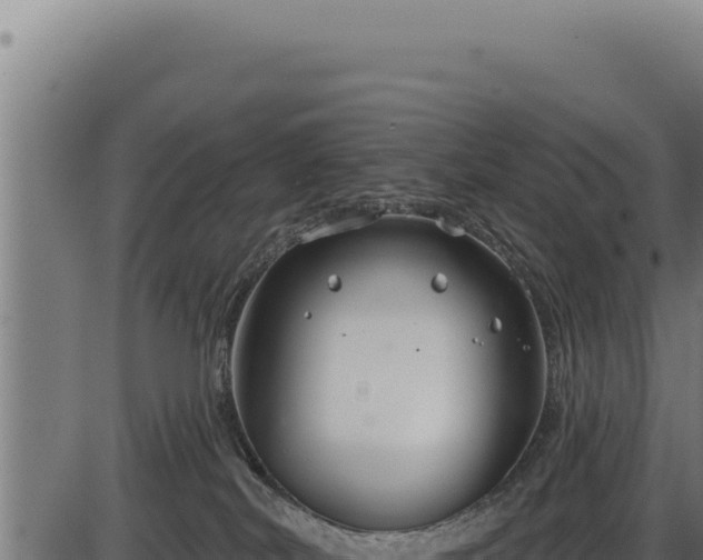 X0000086320038200704091124