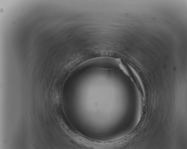 X0000086320039200704091124