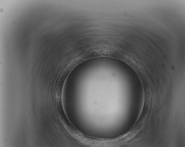 X0000086320040200704091124