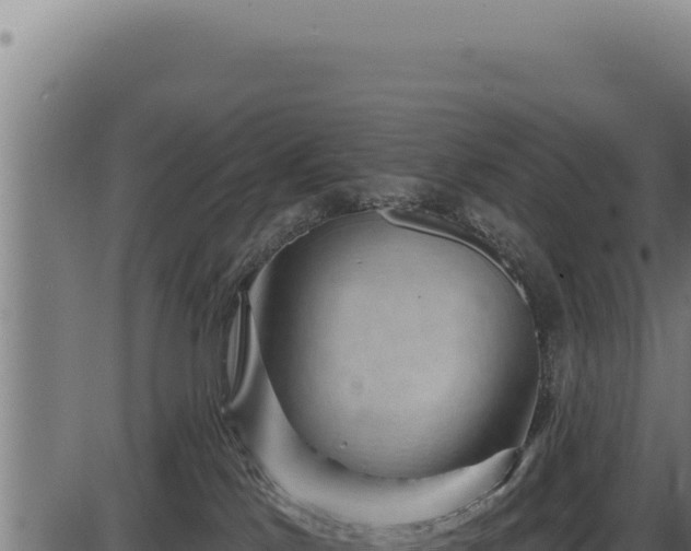 X0000086320041200704091124