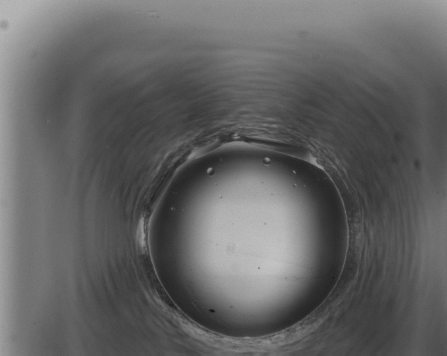 X0000086320042200704091124