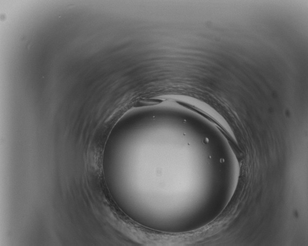 X0000086320044200704091124