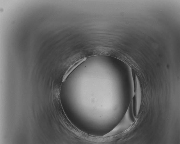 X0000086320045200704091124