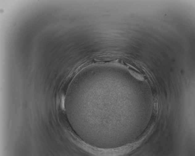 X0000086320046200704091124