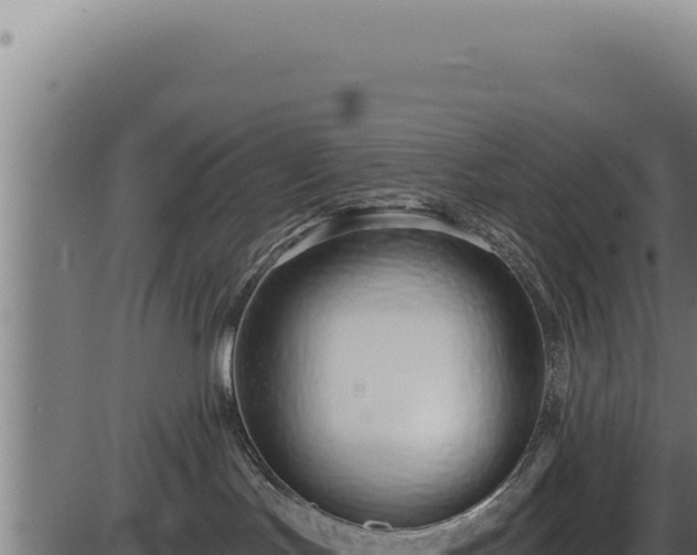 X0000086320047200704091124