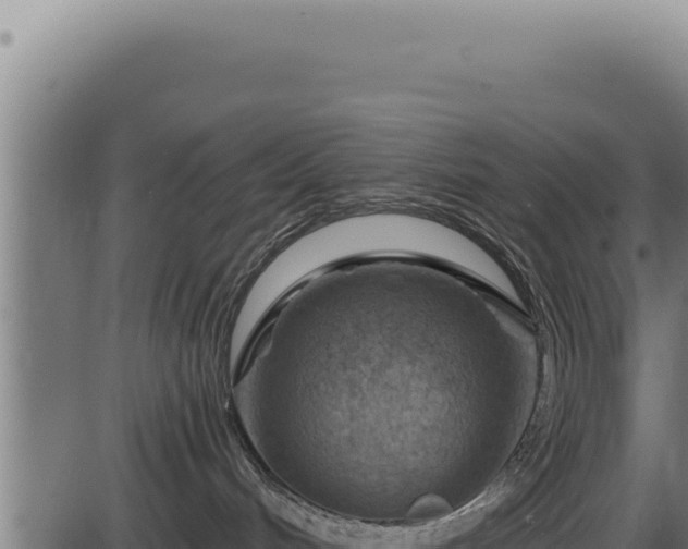 X0000086320048200704091124