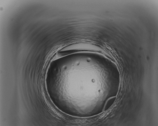 X0000086320049200704091123