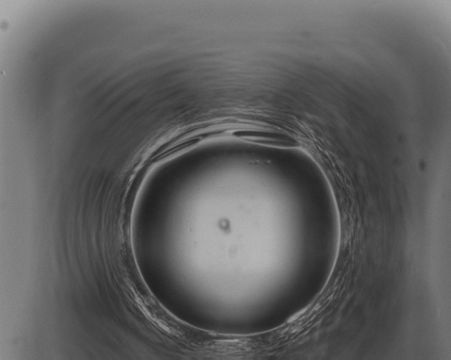 X0000086320050200704091123