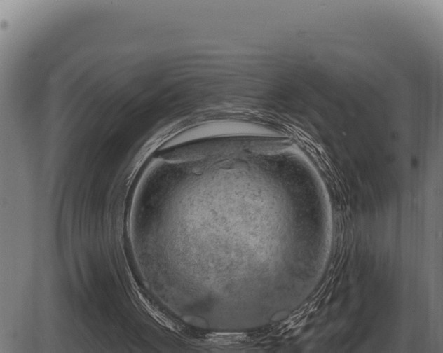 X0000086320051200704091123