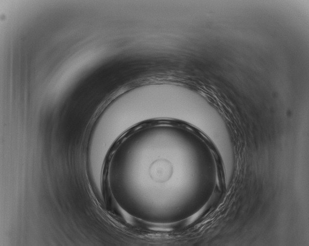 X0000086320052200704091123