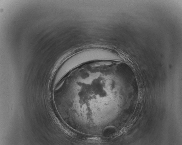 X0000086320053200704091123