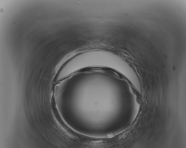 X0000086320054200704091123