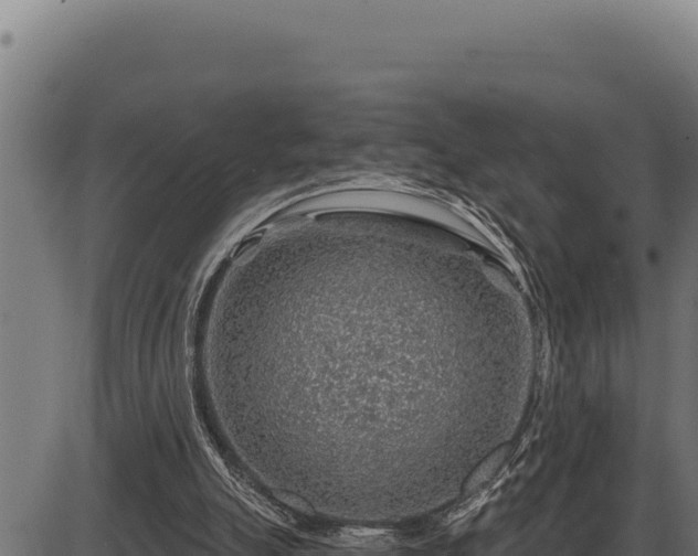 X0000086320055200704091123