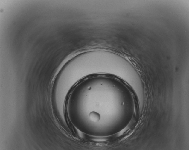 X0000086320056200704091123