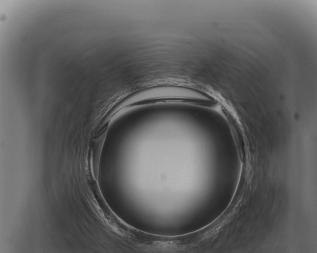 X0000086320057200704091123