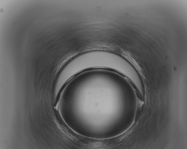 X0000086320058200704091123