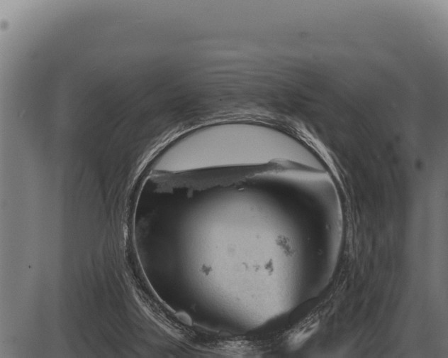 X0000086320059200704091123