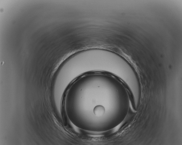 X0000086320060200704091123