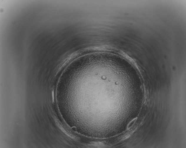 X0000086320061200704091123