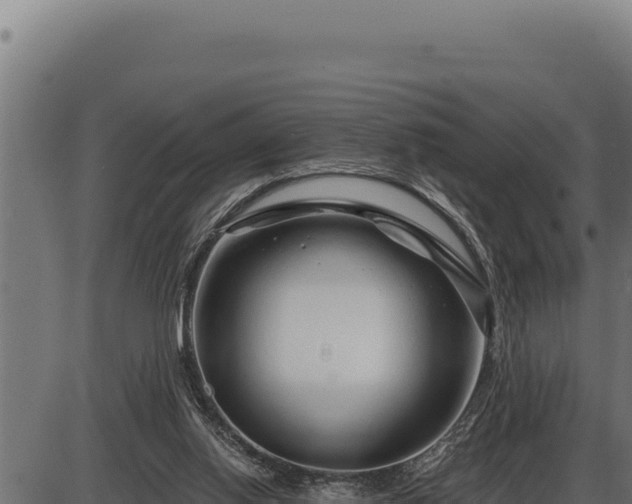 X0000086320062200704091123