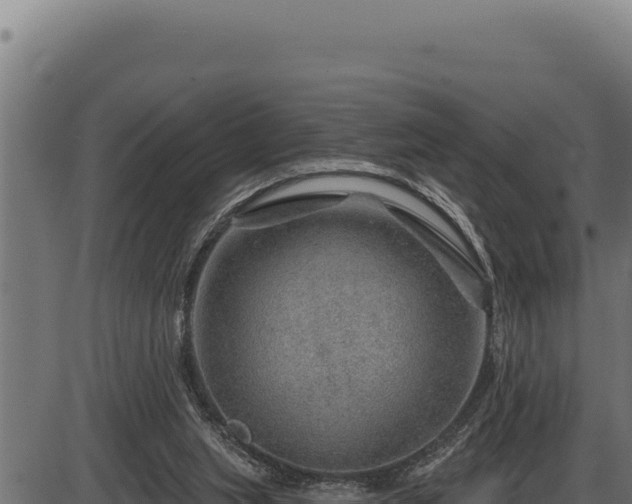 X0000086320063200704091123