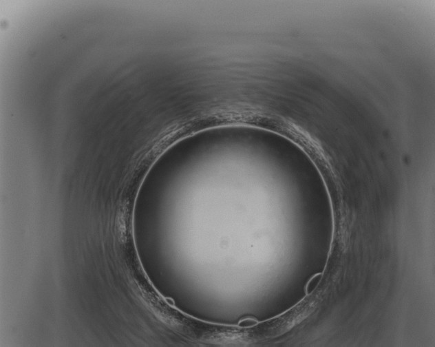 X0000086320065200704091123