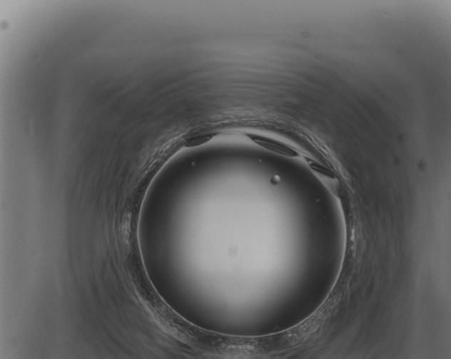 X0000086320066200704091123