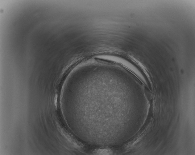 X0000086320067200704091123