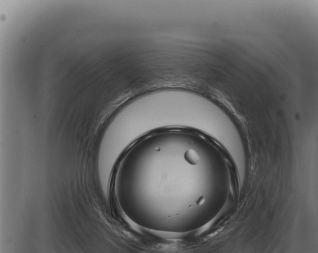 X0000086320068200704091123